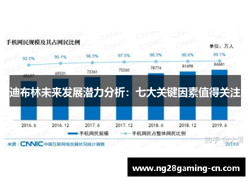 迪布林未来发展潜力分析：七大关键因素值得关注
