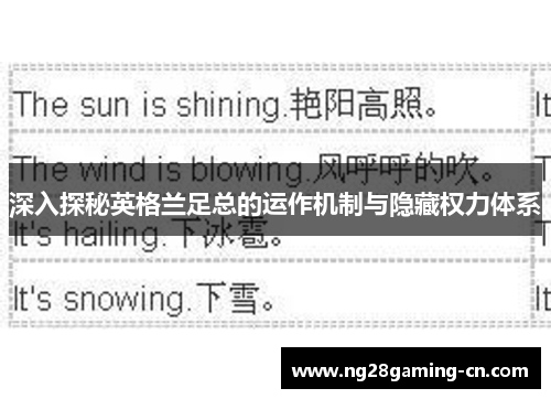 深入探秘英格兰足总的运作机制与隐藏权力体系