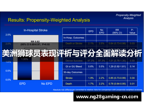 美洲狮球员表现评析与评分全面解读分析
